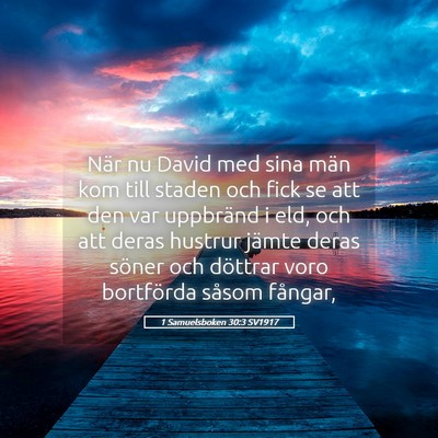 Picture 05 - 1 Samuelsboken 30:3 SV1917 - När nu David med sina män kom till staden och - Bible Verse Picture