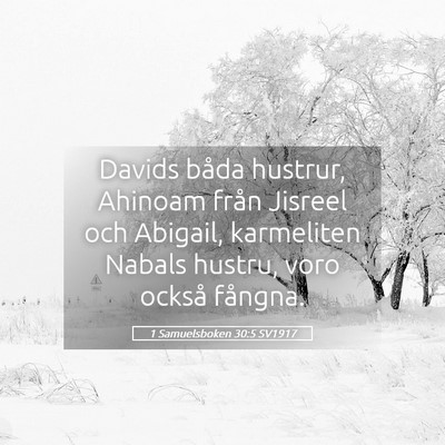 Picture 05 - 1 Samuelsboken 30:5 SV1917 - Davids båda hustrur, Ahinoam från Jisreel och - Bible Verse Picture