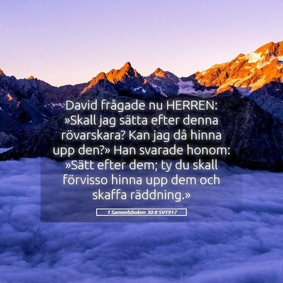 Picture 05 - 1 Samuelsboken 30:8 SV1917 - David frågade nu HERREN: »Skall jag sätta - Bible Verse Picture