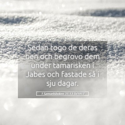 Picture 05 - 1 Samuelsboken 31:13 SV1917 - Sedan togo de deras ben och begrovo dem under - Bible Verse Picture
