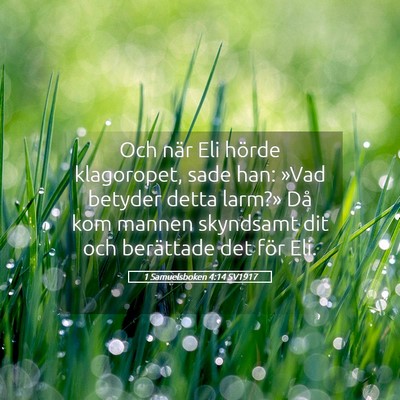 Picture 05 - 1 Samuelsboken 4:14 SV1917 - Och när Eli hörde klagoropet, sade han: »Vad - Bible Verse Picture