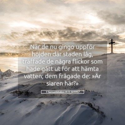 Picture 05 - 1 Samuelsboken 9:11 SV1917 - När de nu gingo uppför höjden där staden - Bible Verse Picture