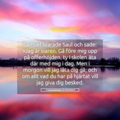 Picture 05 - 1 Samuelsboken 9:19 SV1917 - Samuel svarade Saul och sade: »Jag är siaren. - Bible Verse Picture