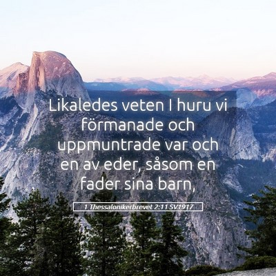 Picture 05 - 1 Thessalonikerbrevet 2:11 SV1917 - Likaledes veten I huru vi förmanade och - Bible Verse Picture