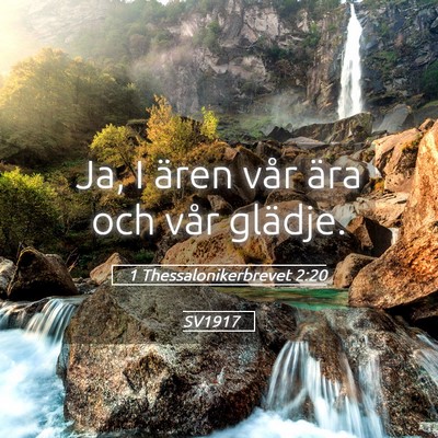 Picture 05 - 1 Thessalonikerbrevet 2:20 SV1917 - Ja, I ären vår ära och vår - Bible Verse Picture