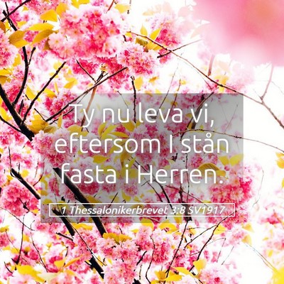 Picture 05 - 1 Thessalonikerbrevet 3:8 SV1917 - Ty nu leva vi, eftersom I stån fasta i - Bible Verse Picture