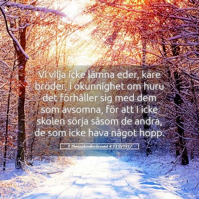 Picture 05 - 1 Thessalonikerbrevet 4:13 SV1917 - Vi vilja icke lämna eder, käre bröder, i - Bible Verse Picture