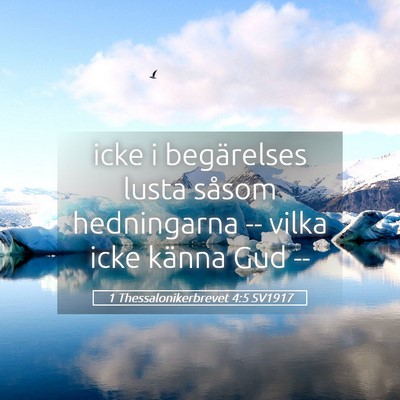 Picture 05 - 1 Thessalonikerbrevet 4:5 SV1917 - icke i begärelses lusta såsom hedningarna -- - Bible Verse Picture