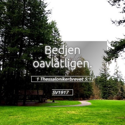 Picture 05 - 1 Thessalonikerbrevet 5:17 SV1917 - Bedjen - Bible Verse Picture
