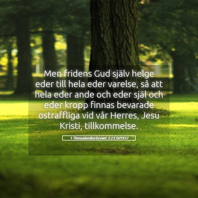 Picture 05 - 1 Thessalonikerbrevet 5:23 SV1917 - Men fridens Gud själv helge eder till hela eder - Bible Verse Picture