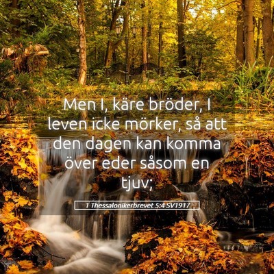 Picture 05 - 1 Thessalonikerbrevet 5:4 SV1917 - Men I, käre bröder, I leven icke mörker, så - Bible Verse Picture