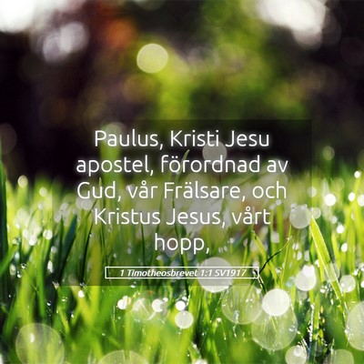 Picture 05 - 1 Timotheosbrevet 1:1 SV1917 - Paulus, Kristi Jesu apostel, förordnad av Gud, - Bible Verse Picture