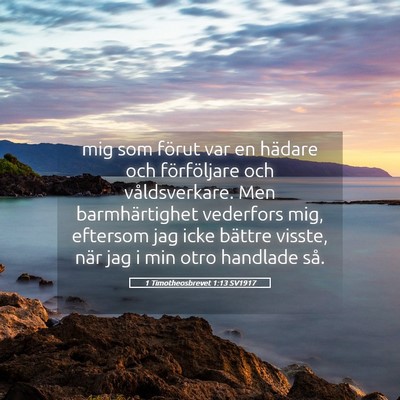 Picture 05 - 1 Timotheosbrevet 1:13 SV1917 - mig som förut var en hädare och förföljare - Bible Verse Picture