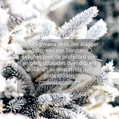 Picture 05 - 1 Timotheosbrevet 1:18 SV1917 - Att så förmana dem, det ålägger jag dig, min - Bible Verse Picture