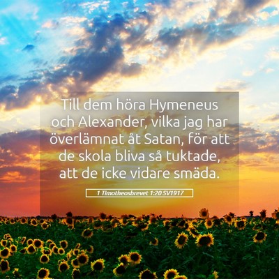 Picture 05 - 1 Timotheosbrevet 1:20 SV1917 - Till dem höra Hymeneus och Alexander, vilka jag - Bible Verse Picture