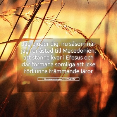 Picture 05 - 1 Timotheosbrevet 1:3 SV1917 - Jag bjuder dig, nu såsom när jag for åstad - Bible Verse Picture