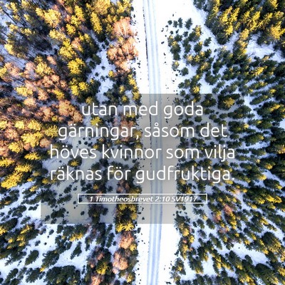 Picture 05 - 1 Timotheosbrevet 2:10 SV1917 - utan med goda gärningar, såsom det höves - Bible Verse Picture