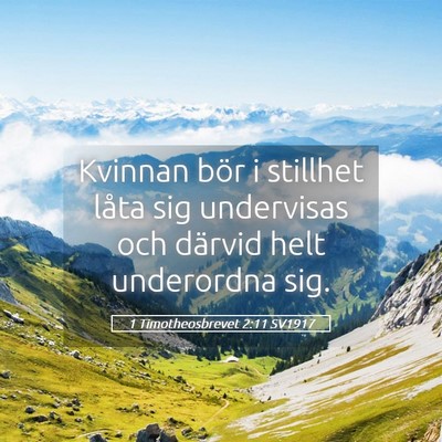 Picture 05 - 1 Timotheosbrevet 2:11 SV1917 - Kvinnan bör i stillhet låta sig undervisas och - Bible Verse Picture