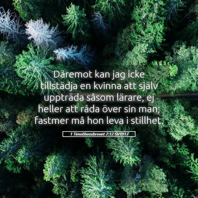 Picture 05 - 1 Timotheosbrevet 2:12 SV1917 - Däremot kan jag icke tillstädja en kvinna att - Bible Verse Picture