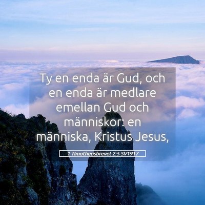 Picture 05 - 1 Timotheosbrevet 2:5 SV1917 - Ty en enda är Gud, och en enda är medlare - Bible Verse Picture