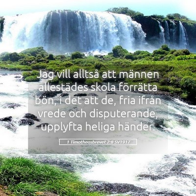 Picture 05 - 1 Timotheosbrevet 2:8 SV1917 - Jag vill alltså att männen allestädes skola - Bible Verse Picture
