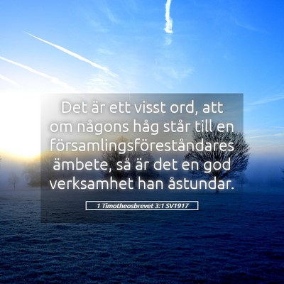 Picture 05 - 1 Timotheosbrevet 3:1 SV1917 - Det är ett visst ord, att om någons håg står - Bible Verse Picture