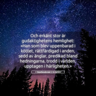 Picture 05 - 1 Timotheosbrevet 3:16 SV1917 - Och erkänt stor är gudaktighetens hemlighet: - Bible Verse Picture