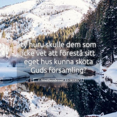 Picture 05 - 1 Timotheosbrevet 3:5 SV1917 - ty huru skulle dem som icke vet att förestå - Bible Verse Picture