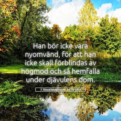 Picture 05 - 1 Timotheosbrevet 3:6 SV1917 - Han bör icke vara nyomvänd, för att han icke - Bible Verse Picture