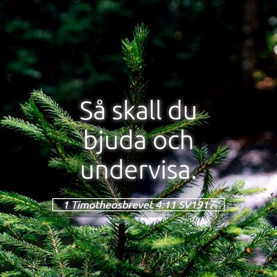 Picture 05 - 1 Timotheosbrevet 4:11 SV1917 - Så skall du bjuda och - Bible Verse Picture