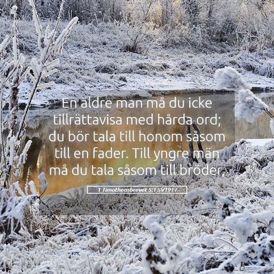 Picture 05 - 1 Timotheosbrevet 5:1 SV1917 - En äldre man må du icke tillrättavisa med - Bible Verse Picture