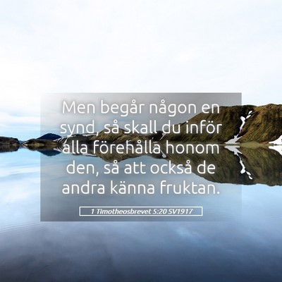 Picture 05 - 1 Timotheosbrevet 5:20 SV1917 - Men begår någon en synd, så skall du inför - Bible Verse Picture
