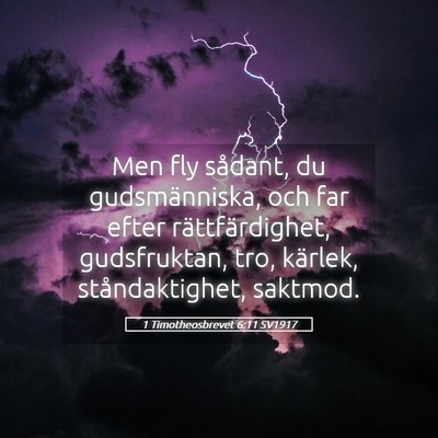 Picture 05 - 1 Timotheosbrevet 6:11 SV1917 - Men fly sådant, du gudsmänniska, och far efter - Bible Verse Picture