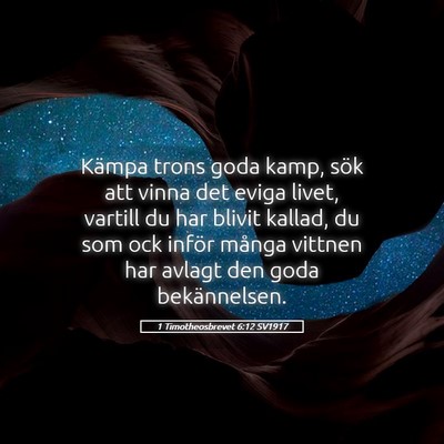 Picture 05 - 1 Timotheosbrevet 6:12 SV1917 - Kämpa trons goda kamp, sök att vinna det eviga - Bible Verse Picture