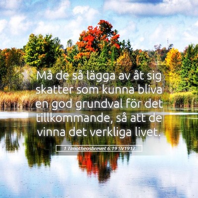 Picture 05 - 1 Timotheosbrevet 6:19 SV1917 - Må de så lägga av åt sig skatter som kunna - Bible Verse Picture