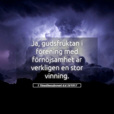 Picture 05 - 1 Timotheosbrevet 6:6 SV1917 - Ja, gudsfruktan i förening med förnöjsamhet - Bible Verse Picture