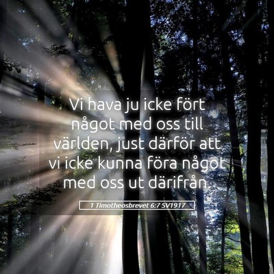 Picture 05 - 1 Timotheosbrevet 6:7 SV1917 - Vi hava ju icke fört något med oss till - Bible Verse Picture
