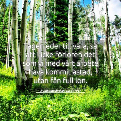 Picture 05 - 2 Johannesbrevet 1:8 SV1917 - Tagen eder till vara, så att I icke förloren - Bible Verse Picture