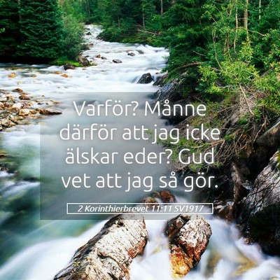 Picture 05 - 2 Korinthierbrevet 11:11 SV1917 - Varför? Månne därför att jag icke älskar - Bible Verse Picture