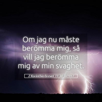 Picture 05 - 2 Korinthierbrevet 11:30 SV1917 - Om jag nu måste berömma mig, så vill jag - Bible Verse Picture