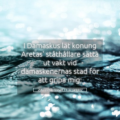 Picture 05 - 2 Korinthierbrevet 11:32 SV1917 - I Damaskus lät konung Aretas' ståthållare - Bible Verse Picture