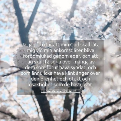 Picture 05 - 2 Korinthierbrevet 12:21 SV1917 - Ja, jag fruktar att min Gud skall låta mig vid - Bible Verse Picture