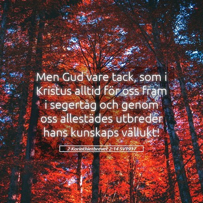 Picture 05 - 2 Korinthierbrevet 2:14 SV1917 - Men Gud vare tack, som i Kristus alltid för oss - Bible Verse Picture