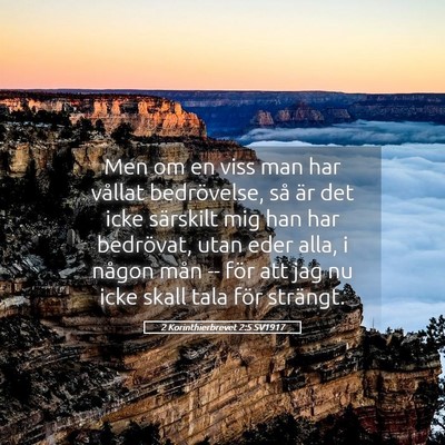 Picture 05 - 2 Korinthierbrevet 2:5 SV1917 - Men om en viss man har vållat bedrövelse, så - Bible Verse Picture