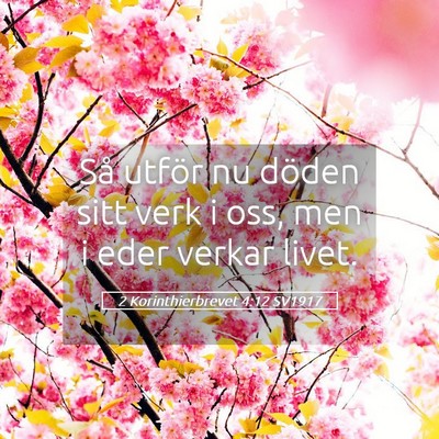 Picture 05 - 2 Korinthierbrevet 4:12 SV1917 - Så utför nu döden sitt verk i oss, men i eder - Bible Verse Picture