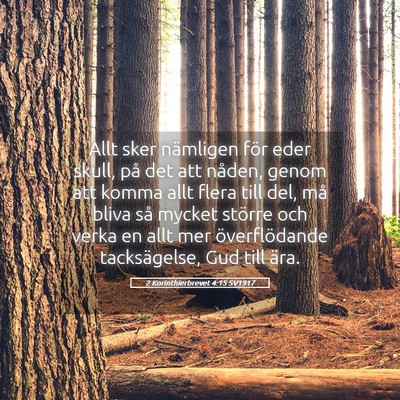Picture 05 - 2 Korinthierbrevet 4:15 SV1917 - Allt sker nämligen för eder skull, på det att - Bible Verse Picture