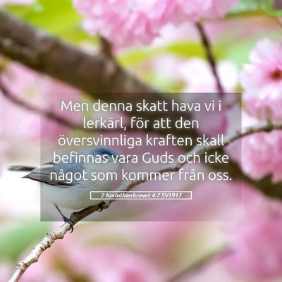 Picture 05 - 2 Korinthierbrevet 4:7 SV1917 - Men denna skatt hava vi i lerkärl, för att den - Bible Verse Picture