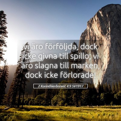Picture 05 - 2 Korinthierbrevet 4:9 SV1917 - vi äro förföljda, dock icke givna till spillo; - Bible Verse Picture