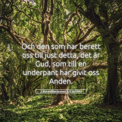 Picture 05 - 2 Korinthierbrevet 5:5 SV1917 - Och den som har berett oss till just detta, det - Bible Verse Picture