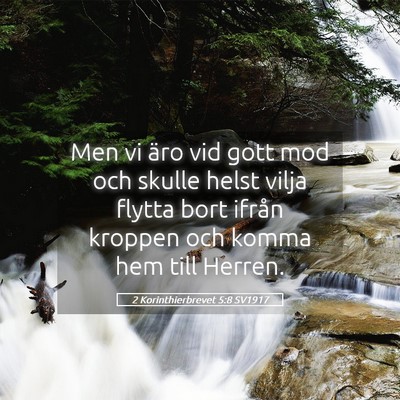 Picture 05 - 2 Korinthierbrevet 5:8 SV1917 - Men vi äro vid gott mod och skulle helst vilja - Bible Verse Picture